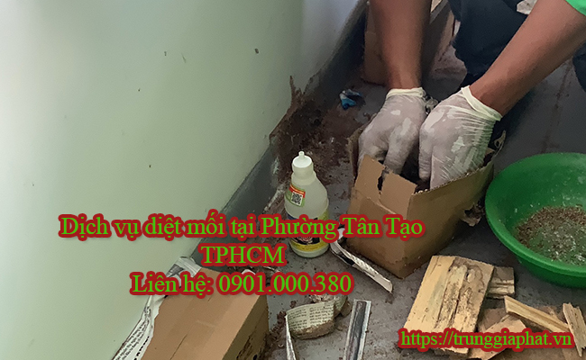 Kỹ thuật diệt mối tại Phường Tân Tạo, TPHCM. Kỹ thuật diệt mối tại Phường Tân Tạo, TPHCM.