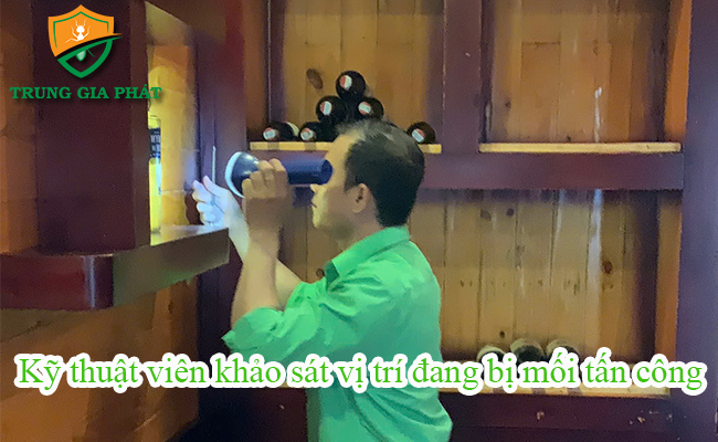 Kỹ thuật viên khảo sát vị trí đang bị mối. Kỹ thuật viên khảo sát vị trí đang bị mối.