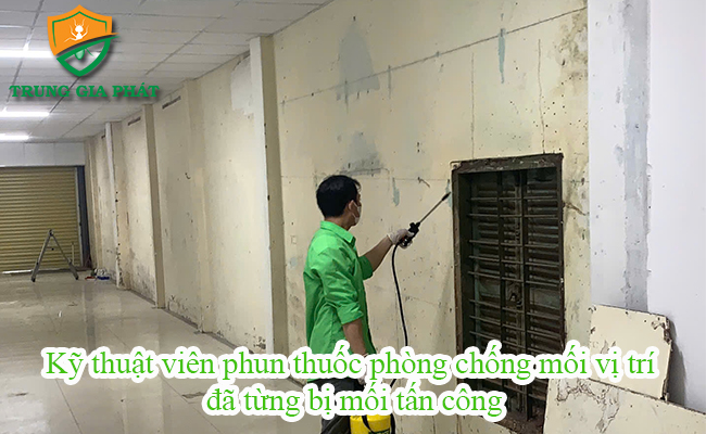 Ky thuật tiến hành phun thuốc phòng chống mối vị trí đã từng bị mối. Ky thuật tiến hành phun thuốc phòng chống mối vị trí đã từng bị mối.
