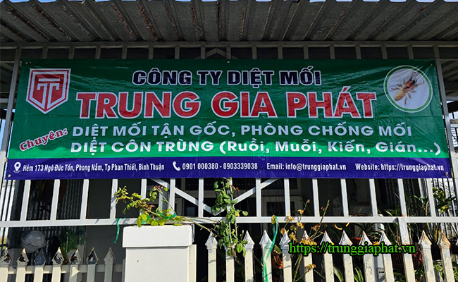 Địa chỉ diệt mối tại Bình Thuận