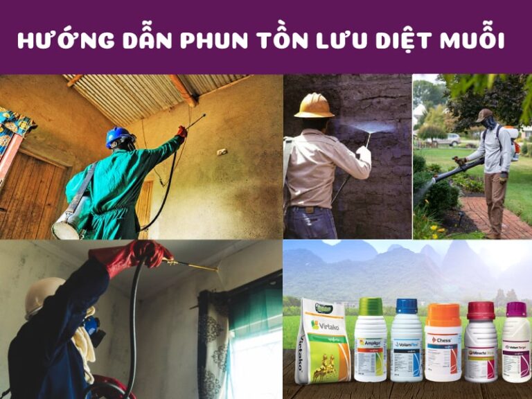 Phương pháp phun tồn lưu diệt côn trùng hiệu quả