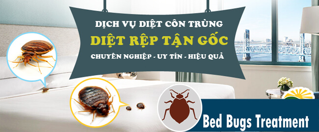 Dịch vụ diệt rệp giường tận gốc 100%