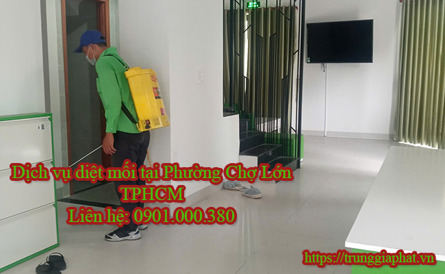 Dịch vụ diệt mối tại Phường Chợ Lớn chất lượng cao.