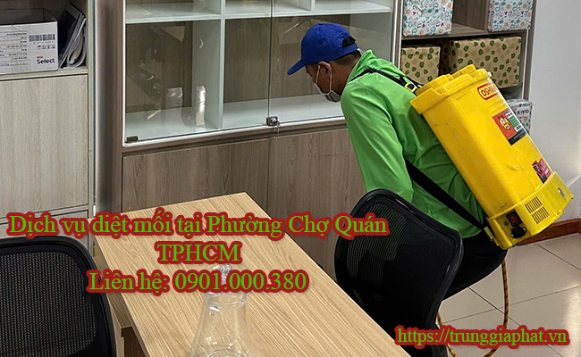 Dịch vụ diệt mối tại Phường Chợ Quán giá rẻ
