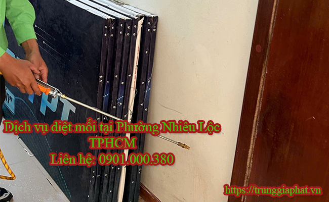 Dịch vụ diệt mối tại Phường Nhiêu Lộc