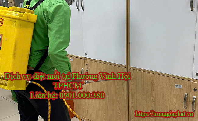 Dịch vụ diệt mối tại Phường Vĩnh Hội chuyên nghiệp.
