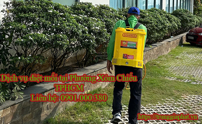 Dịch vụ diệt mối tại Phường Xóm Chiếu uy tín nhất.