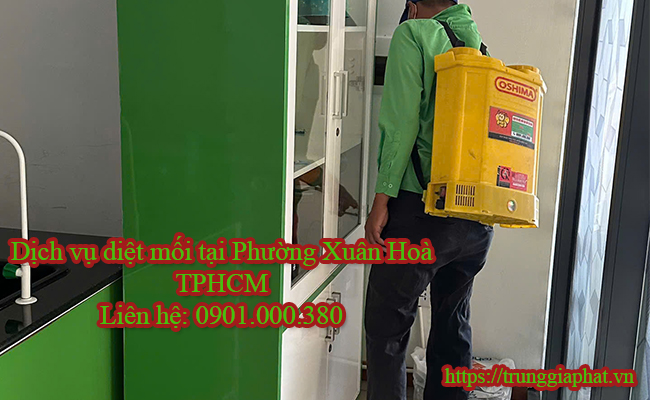 Dịch vụ diệt mối tại Phường Xuân Hoà TPHCM uy tín nhất.