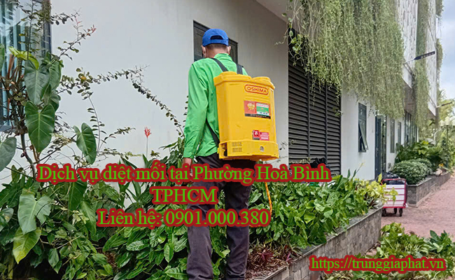 Dịch vụ diệt mối tại Phường Hoà Bình TPHCM chuyên nghiệp.