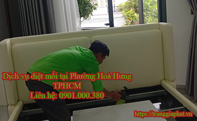 Dịch vụ diệt mối tại Phường Hoà Hưng TPHCM.