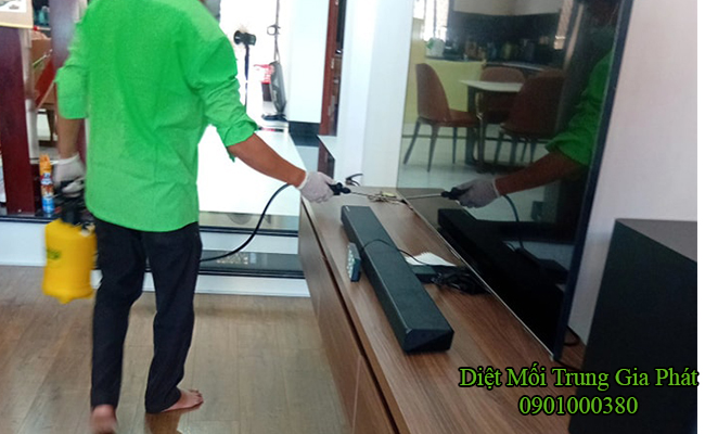 Kệ tivi đang bị mối tấn công