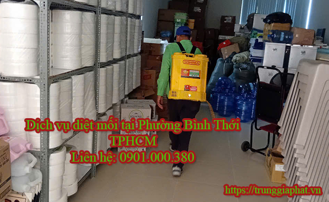 Dịch vụ diệt mối tại Phường Bình Thới giá cạnh tranh
