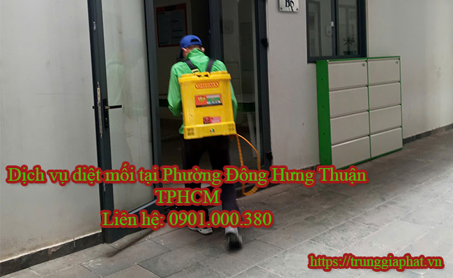 Dịch vụ diệt mối tại Phường Đông Hưng Thuận chuyên nghiệp