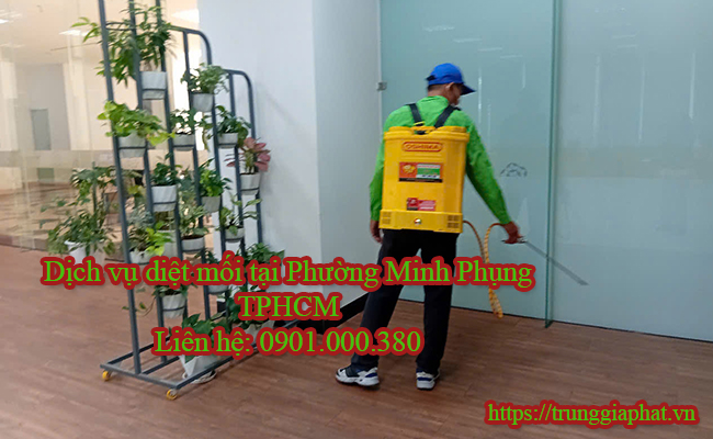 Dịch vụ diệt mối tại Phường Minh Phụng TPHCM giá cạnh tranh.