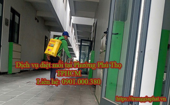 Dịch vụ diệt mối tại Phường Phú Thọ giá cạnh tranh nhất thị trường.
