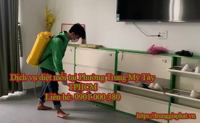 Dịch vụ diệt mối tại Phường Trung Mỹ Tây TPHCM uy tín
