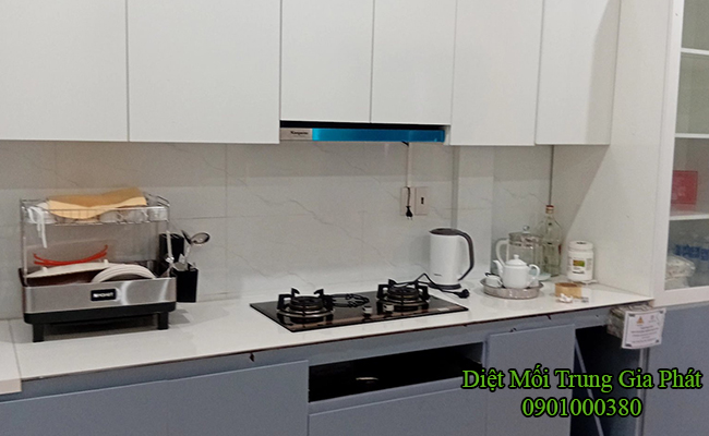 Hình ảnh thực tế về tủ bếp đang bị mối.