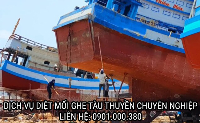 Dịch vụ diệt mối ghe tàu thuyền chuyên nghiệp bảo hành 12 tháng.