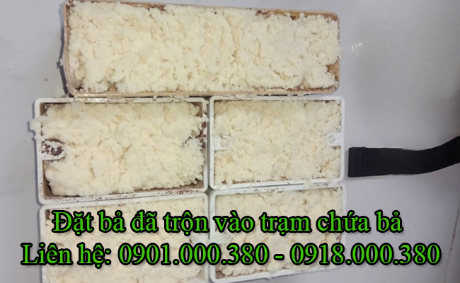 Đặt bả đã trộn vào trạm chứa bả diệt mối sinh học REQUIEM.