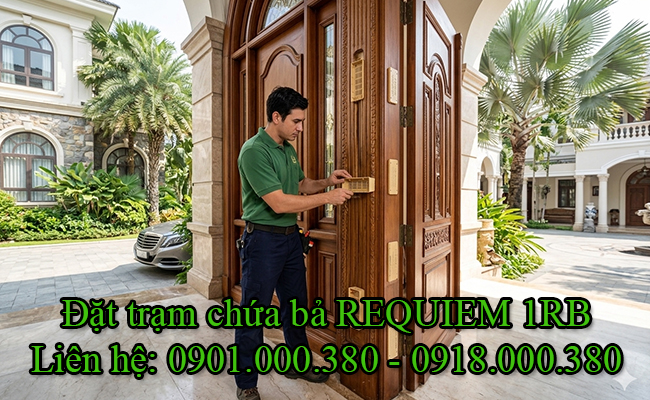 Đặt trạm để chứa bả diệt mối sinh học REQUIEM