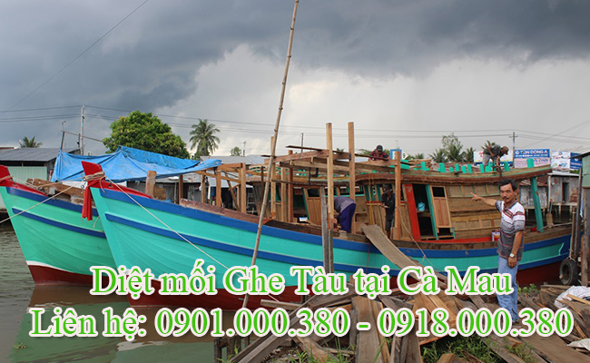 Dịch vụ diệt mối Ghe tàu tại Cà Mau chuyên nghiệp. Dịch vụ diệt mối Ghe tàu tại Cà Mau chuyên nghiệp.