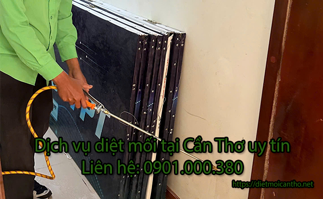 Dịch vụ diệt mối tận gốc tại Cần Thơ uy tín. Dịch vụ diệt mối tận gốc tại Cần Thơ uy tín.