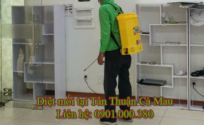 Kỹ thuật viên đang xử lý mối tại Phường Tân Thuận Cà Mau. Kỹ thuật viên đang xử lý mối tại Phường Tân Thuận Cà Mau.